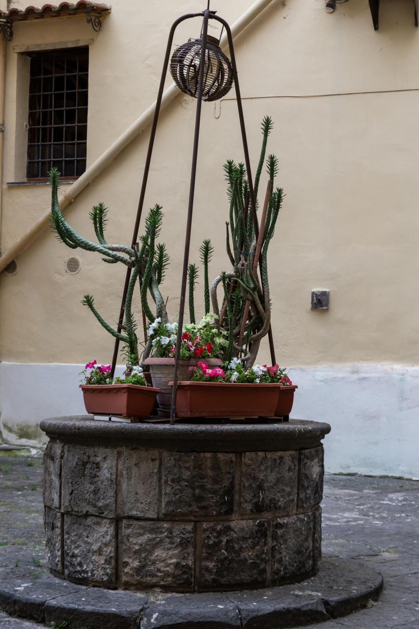 Vesuvio Plaza Room Ottaviano Εξωτερικό φωτογραφία